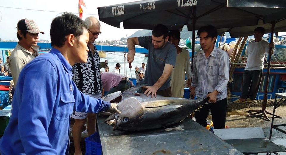 Hình ảnh minh họa bài viết: EU SẼ LOẠI BỎ THUẾ QUAN CHO SẢN PHẨM CÁ NGỪ VIỆT NAM BẮT ĐẦU TỪ THÁNG 8/2020