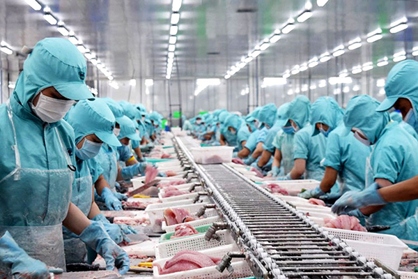 Hình ảnh minh họa bài viết: PHÁT TRIỂN NGÀNH CHẾ BIẾN THỦY SẢN 2021-2030