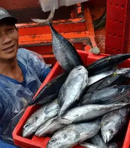 Hình ảnh minh họa bài viết: Vui “TẾT” với lộc biển đầu năm 2019