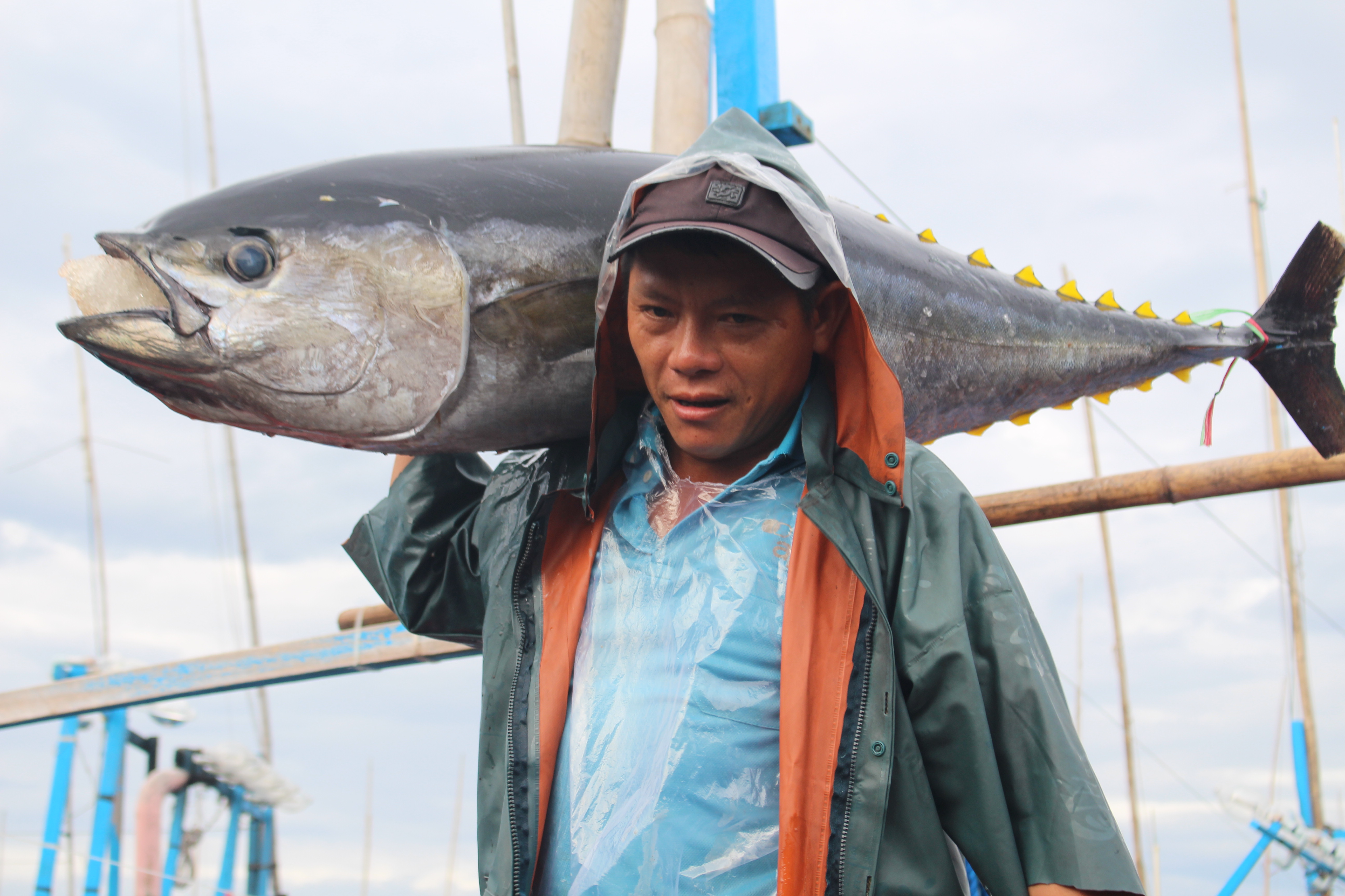 Hình ảnh minh họa bài viết: BỘ QUY TẮC ỨNG XỬ TỰ NGUYỆN/ VOLUNTARY CODE OF CONDUCT