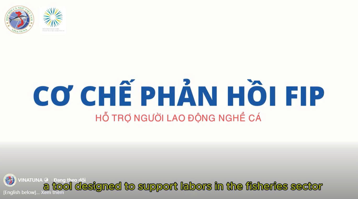 Hình ảnh minh họa bài viết: CƠ CHẾ PHẢN HỒI FIP TRONG NGHỀ KHAI THÁC CÁ NGỪ VIỆT NAM