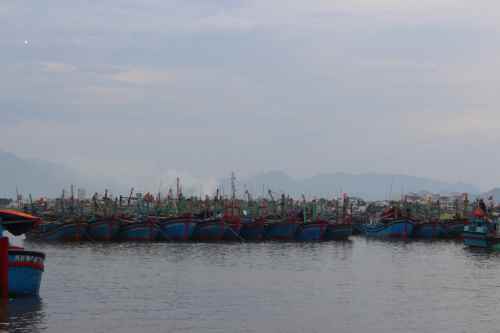 Hình ảnh minh họa bài viết: Được mùa rớt giá – Chuyến biển đầu năm Bính Thân 2016