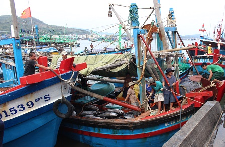 Hình ảnh minh họa bài viết: Chuyến biển đầu năm ra khơi đánh bắt cá ngừ đại dương