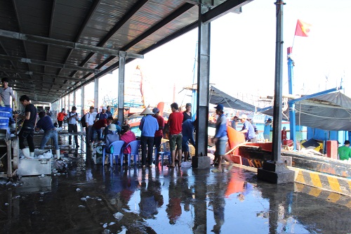 Hình ảnh minh họa bài viết: Ngư dân nghề câu cá ngừ đại dương trúng đậm chuyến biển đầu năm Đinh Dậu.