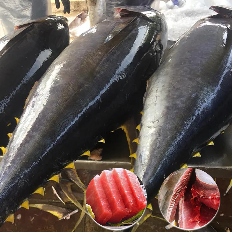 Thị trường nhập khẩu cá ngừ 6 tháng đầu năm 2015