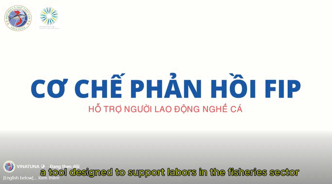 CƠ CHẾ PHẢN HỒI FIP TRONG NGHỀ KHAI THÁC CÁ NGỪ VIỆT NAM