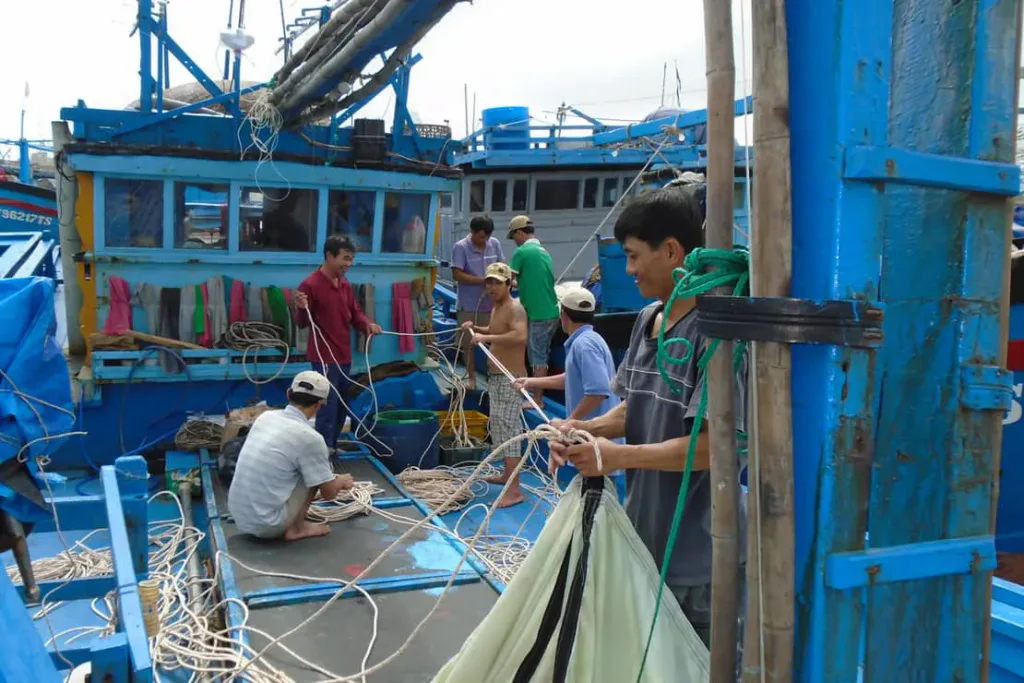 Vietnam Yellowfin Tuna