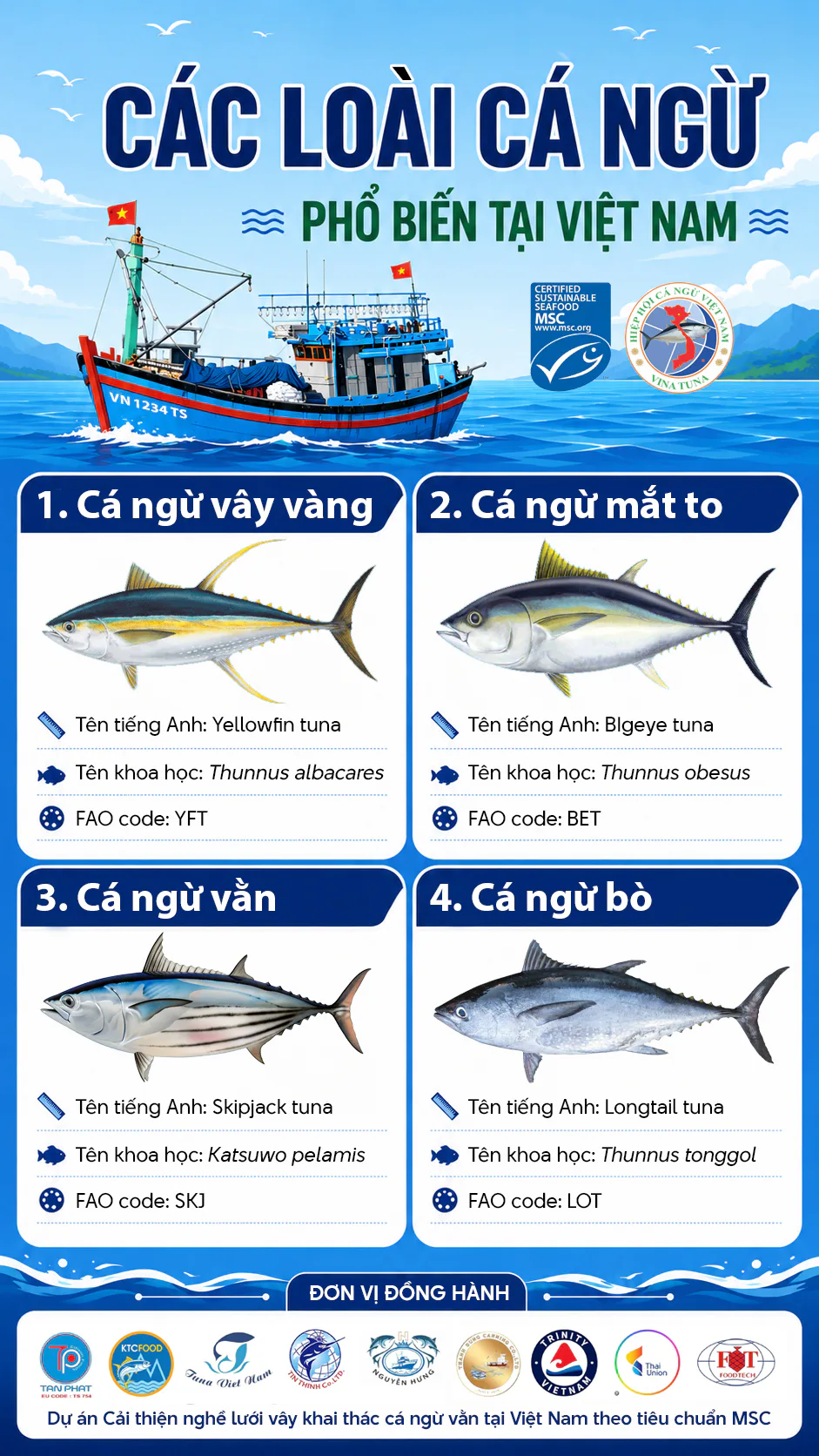 Cá ngừ tt.jpg